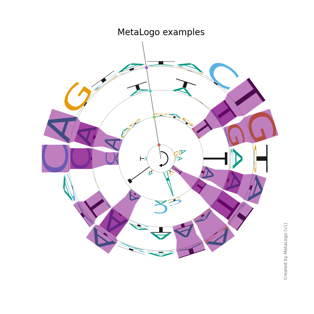 shengwuxinxi visualization bioinformatics